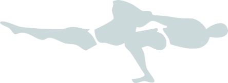 Schönstark Pictogram Left