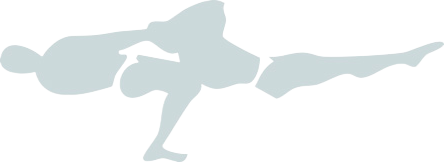 Schönstark Pictogram Right